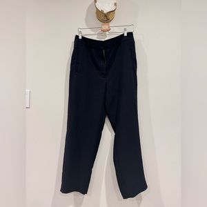 Aritzia pants